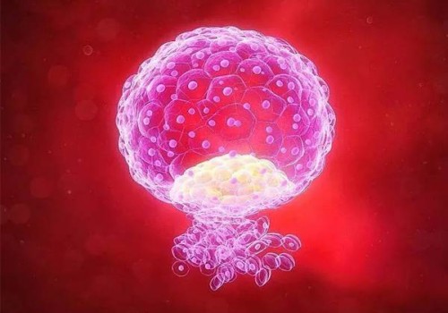 子宮平滑肌瘤吃什么好,平滑子宮肌瘤的飲食原則